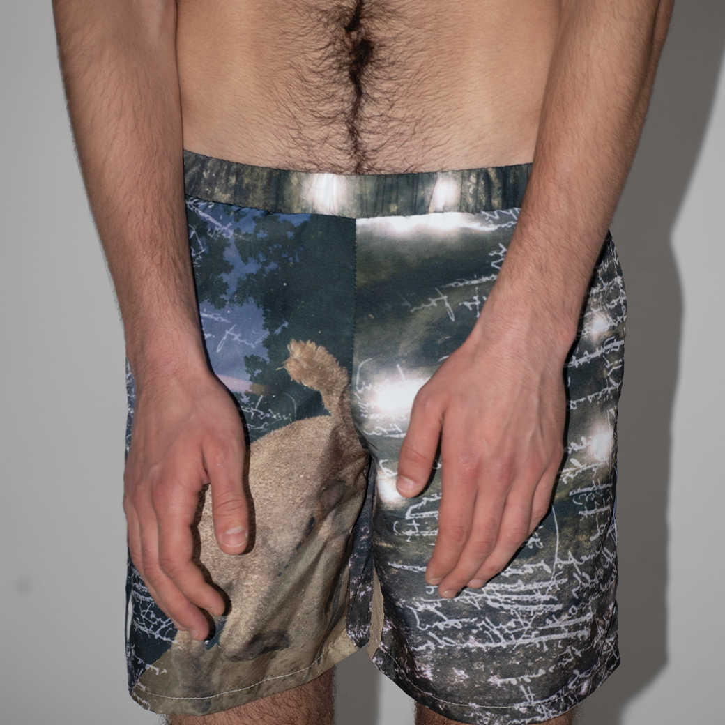 Seaweed Trunks