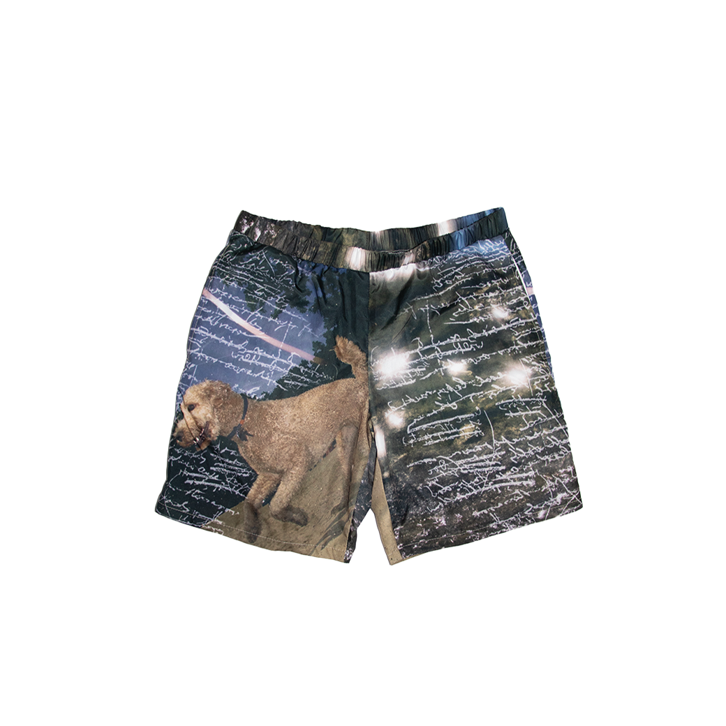 Seaweed Trunks