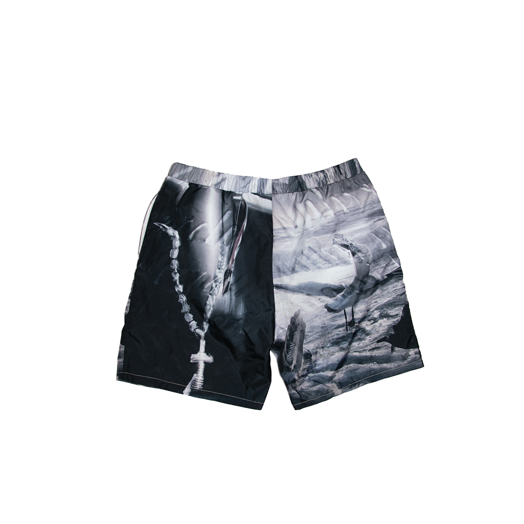 Seagull Trunks